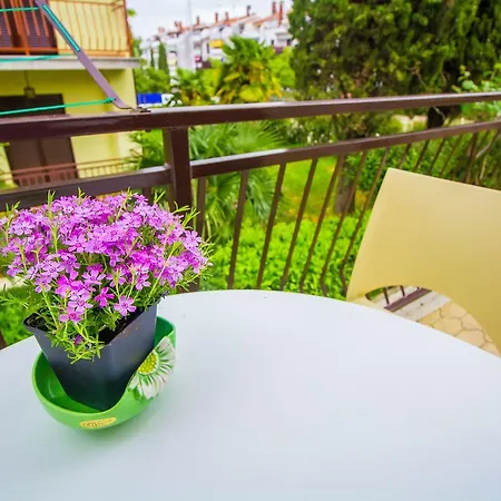 Apartman Pineta House Vidos