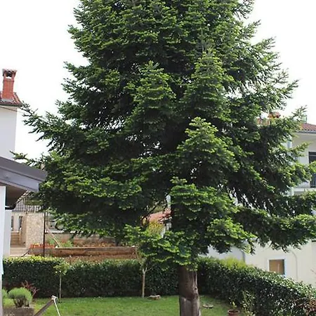 Pineta House Vidos アパート *