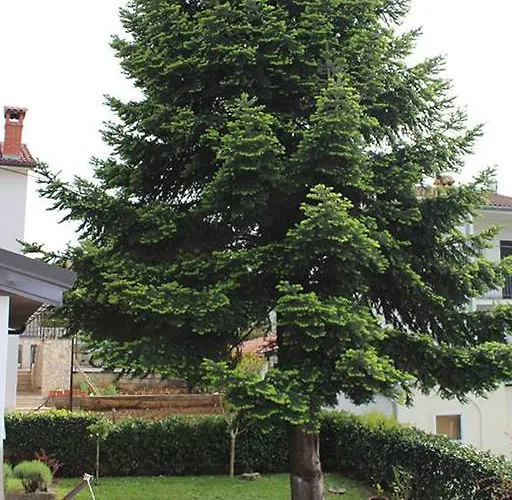 Pineta House Vidos Апартаменти *